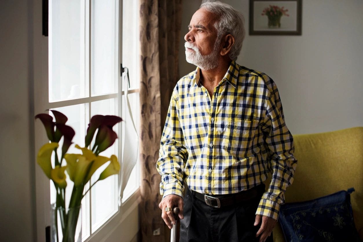 An elderly man with a gray beard and checkered shirt looks pensively out of a window. A vase with flowers sits on the windowsill, and a painting is hung on the wall behind him.